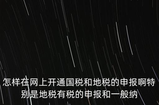 怎樣在網(wǎng)上開(kāi)通國(guó)稅和地稅的申報(bào)啊特別是地稅有稅的申報(bào)和一般納