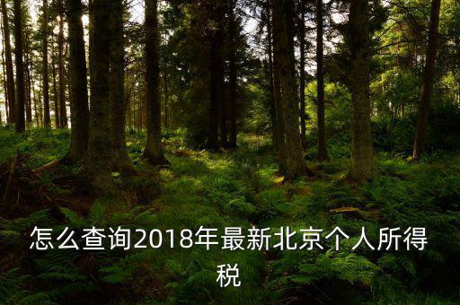 北京如何查詢個稅完稅證明，怎么查詢2018年最新北京個人所得稅