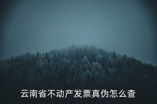 不動產(chǎn)統(tǒng)一發(fā)票如何查詢真?zhèn)?，銷售不動產(chǎn)統(tǒng)一發(fā)票真假怎么辨別