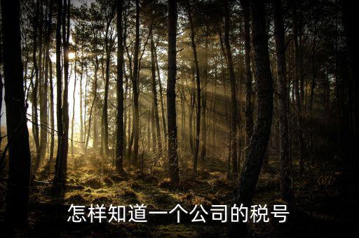 單位稅號(hào)如何查詢，知道公司名字怎么查稅號(hào)嗎