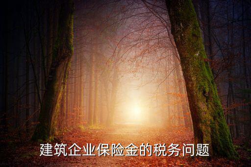 保險(xiǎn)公司稅務(wù)管理如何處理，建筑企業(yè)保險(xiǎn)金的稅務(wù)問題