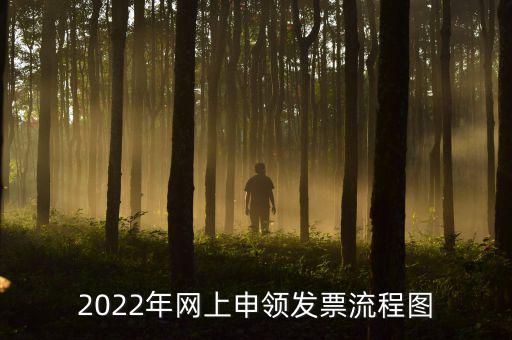 2022年網上申領發(fā)票流程圖