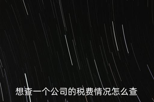 如何查詢公司納稅記錄查詢，想查一個(gè)公司的稅費(fèi)情況怎么查