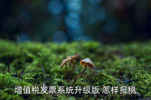 如何更新發(fā)票系統(tǒng)版本，如何將開票軟件升級為最新版本