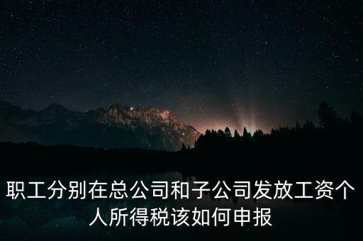 職工分別在總公司和子公司發(fā)放工資個(gè)人所得稅該如何申報(bào)