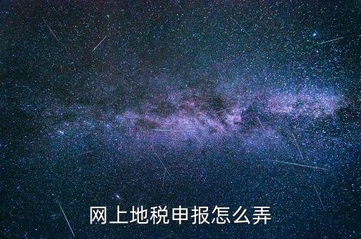 網(wǎng)上地稅申報怎么弄