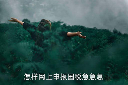 怎樣網(wǎng)上申報(bào)國稅急急急