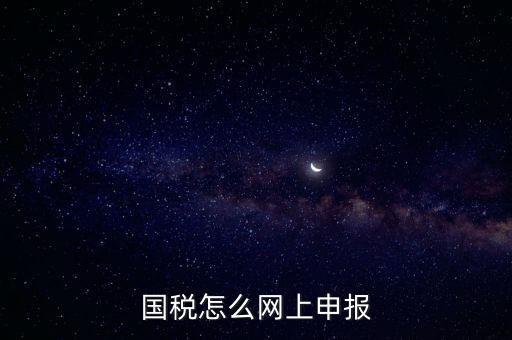 國稅怎么網(wǎng)上申報