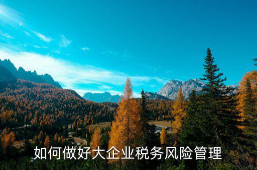 如何加強(qiáng)對(duì)重點(diǎn)企業(yè)的稅務(wù)管理，加強(qiáng)大企業(yè)的稅收管理有何良策