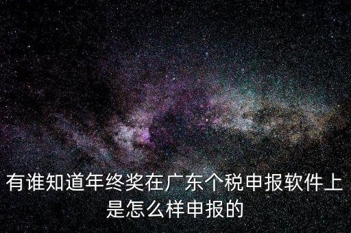 有誰知道年終獎(jiǎng)在廣東個(gè)稅申報(bào)軟件上是怎么樣申報(bào)的