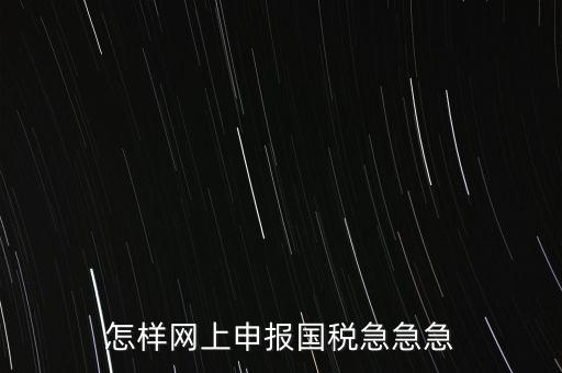 怎樣網(wǎng)上申報國稅急急急