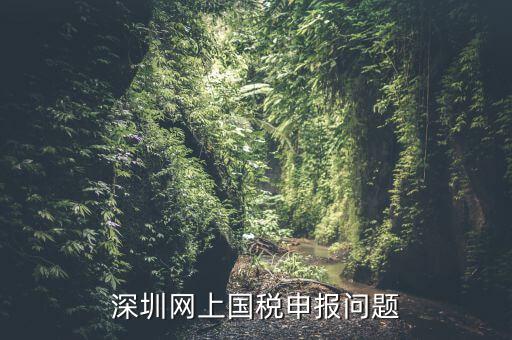 深圳網(wǎng)上國稅申報(bào)問題