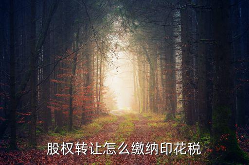 股權轉讓怎么繳納印花稅