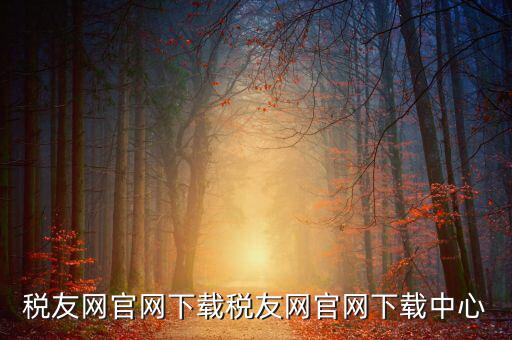 稅友如何下載，個稅在稅友網(wǎng)上下載下來了然后怎么安裝