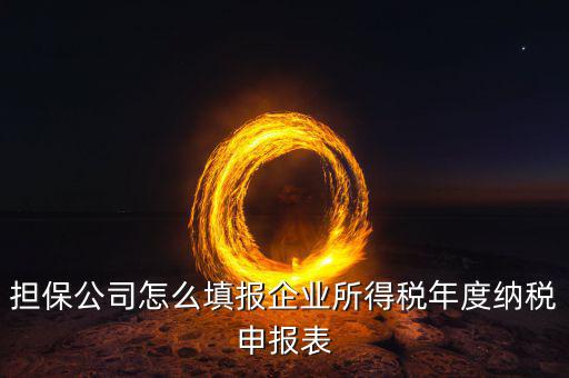 保險(xiǎn)公司如何納稅申報(bào)，保險(xiǎn)代理公司怎么向地稅申請代開發(fā)票