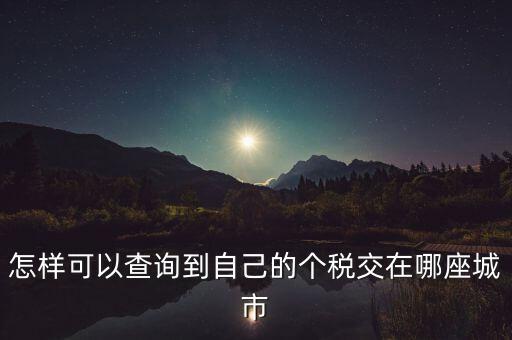 如何查詢個人所得稅所交地點，怎樣可以查詢到自己的個稅交在哪座城市