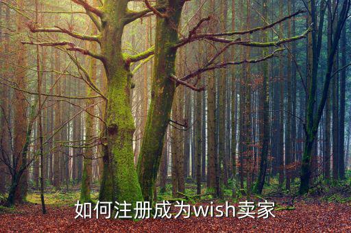 如何注冊(cè)成為wish賣(mài)家