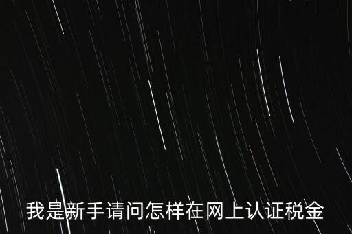 我是新手請(qǐng)問怎樣在網(wǎng)上認(rèn)證稅金