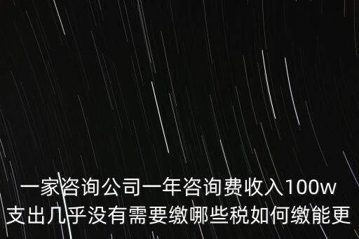 一家咨詢公司一年咨詢費(fèi)收入100w支出幾乎沒有需要繳哪些稅如何繳能更