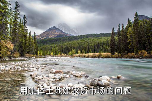 用集體土地建農貿市場的問題