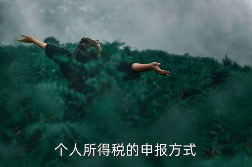 個人所得稅的申報方式