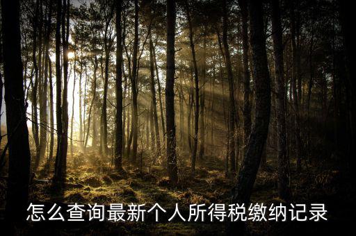 怎么查詢最新個(gè)人所得稅繳納記錄