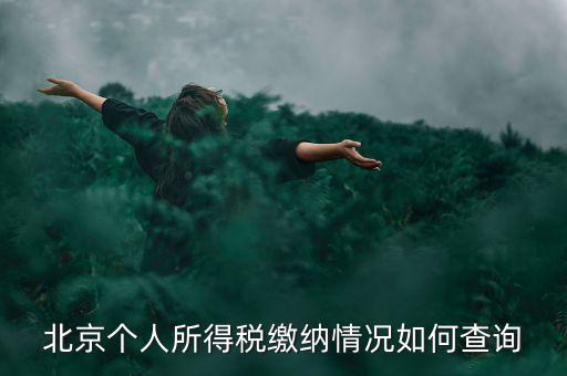 北京地稅個人如何查詢，如何查詢個人所得稅繳稅記錄