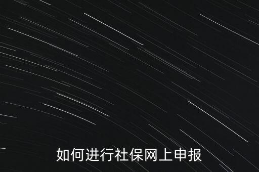 如何進行社保網(wǎng)上申報