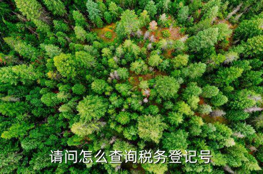 如何查地稅登記號，怎樣在網(wǎng)上查詢國稅和地稅登記號