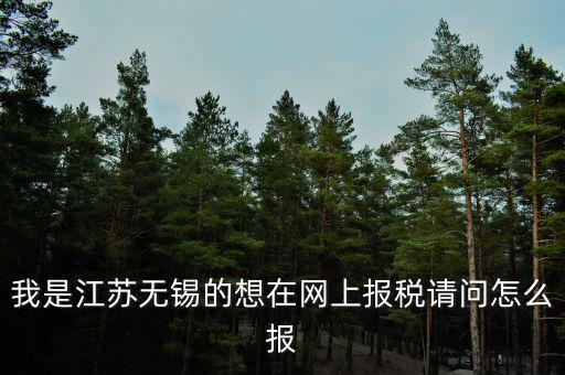 我是江蘇無錫的想在網(wǎng)上報稅請問怎么報