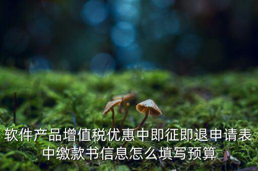 即征即退的退稅申請(qǐng)表如何填寫，軟件產(chǎn)品增值稅優(yōu)惠中即征即退申請(qǐng)表中繳款書信息怎么填寫預(yù)算