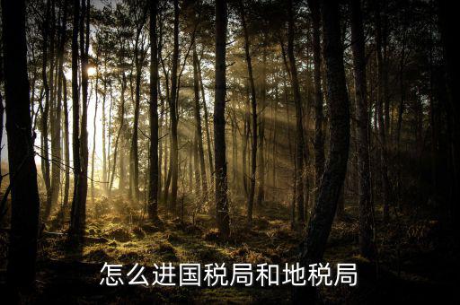 山西國稅系統(tǒng)如何進(jìn)入地稅，怎么進(jìn)國稅局和地稅局