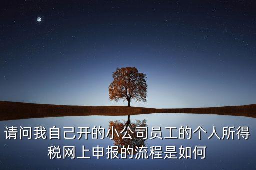 請(qǐng)問(wèn)我自己開(kāi)的小公司員工的個(gè)人所得稅網(wǎng)上申報(bào)的流程是如何