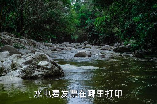 水電費發(fā)票在哪里打印