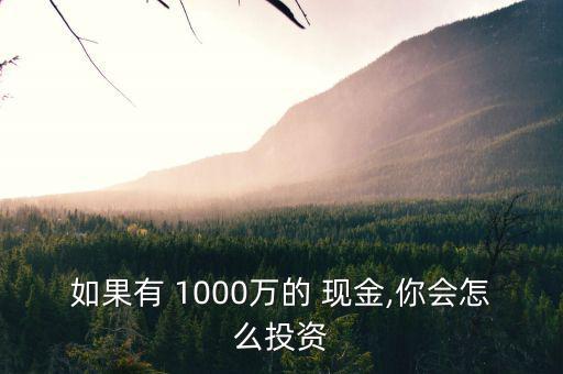 1000萬元現(xiàn)金怎么藏,如何理財(cái)?