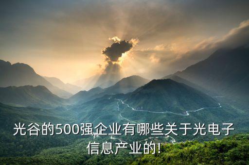 光谷的500強(qiáng)企業(yè)有哪些關(guān)于光電子信息產(chǎn)業(yè)的!