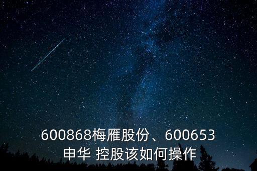 600868梅雁股份、600653 申華 控股該如何操作