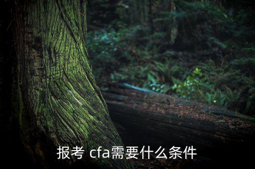 報(bào)考 cfa需要什么條件