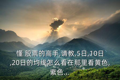 懂 股票的高手,請教,5日,10日,20日的均線怎么看在那里看黃色,紫色...