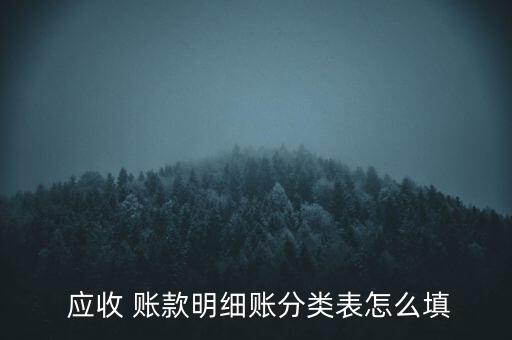  應(yīng)收 賬款明細(xì)賬分類表怎么填