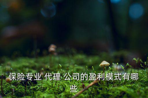 保險專業(yè) 代理 公司的盈利模式有哪些