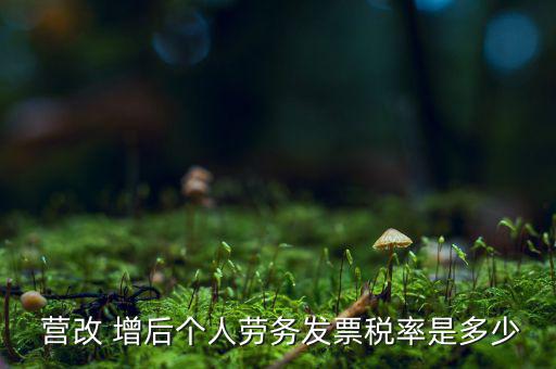 營(yíng)改增后個(gè)稅怎么征收,新征收稅率3%為小規(guī)模納稅人適用稅率