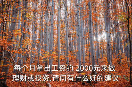 每個月拿出工資的 2000元來做 理財或投資,請問有什么好的建議