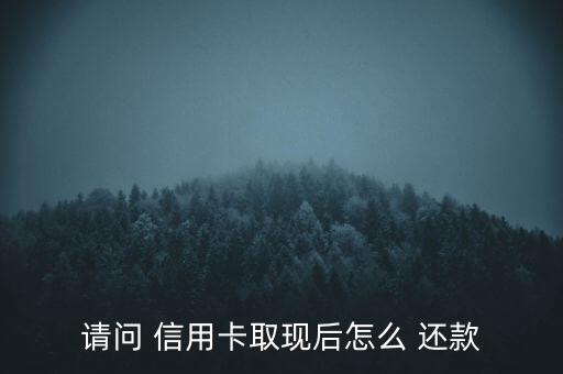 請問 信用卡取現(xiàn)后怎么 還款