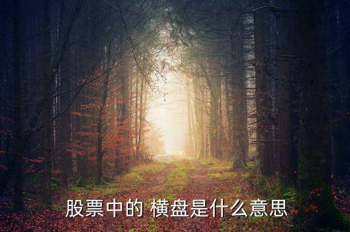  股票中的 橫盤是什么意思