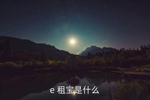 e 租寶是什么