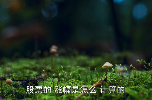 怎么計(jì)算漲幅,漲跌幅怎么算?大盤指數(shù)和股票是一樣的