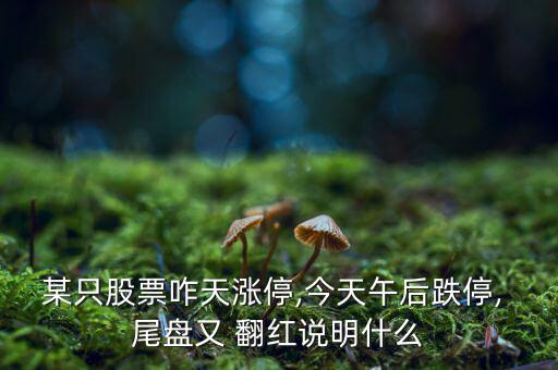 某只股票咋天漲停,今天午后跌停, 尾盤又 翻紅說明什么