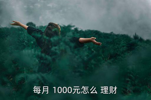 每月 1000元怎么 理財(cái)