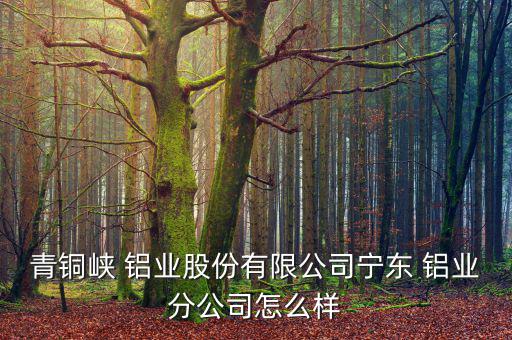 青銅峽 鋁業(yè)股份有限公司寧東 鋁業(yè)分公司怎么樣